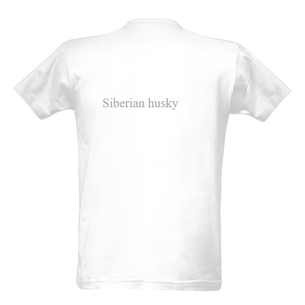 Siberian husky